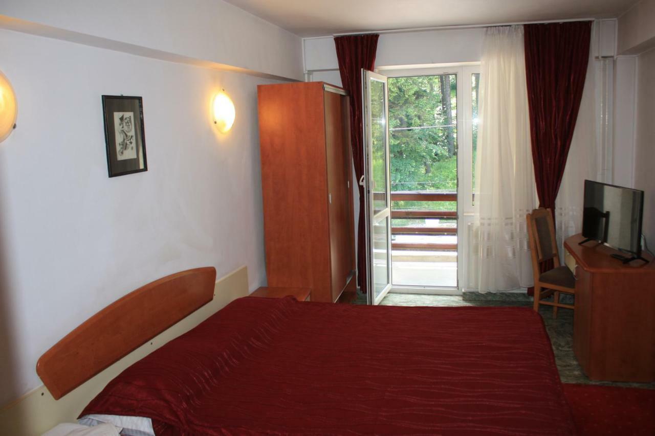 Vila Mihail Hotel Szászbuda Kültér fotó