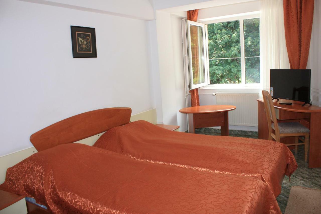 Vila Mihail Hotel Szászbuda Kültér fotó
