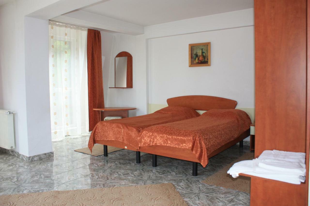Vila Mihail Hotel Szászbuda Kültér fotó