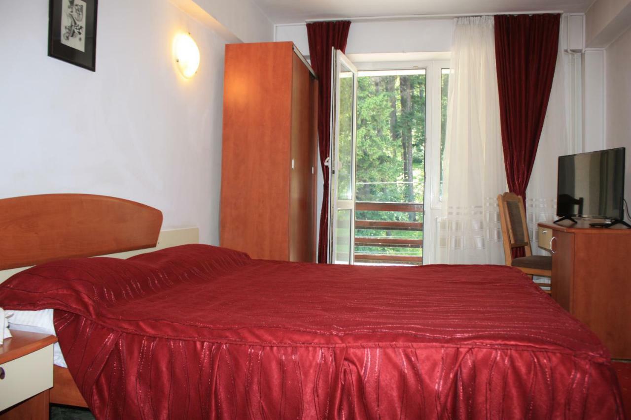 Vila Mihail Hotel Szászbuda Kültér fotó